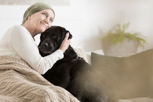 Therapy Pets: Why We Need the Pets We Love