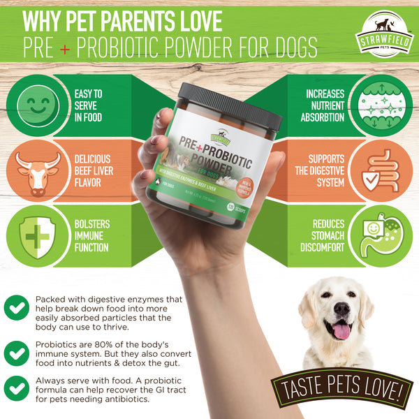 Probiotics for shop dogs on antibiotics