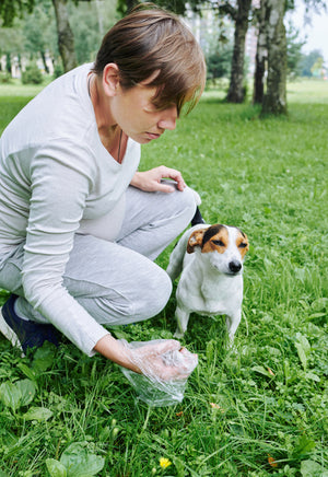 Is Your Dog Eating Poop?