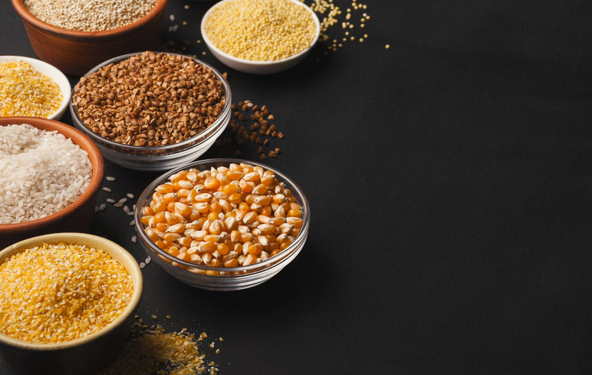 Importance of a Grain Free Diet for Dogs