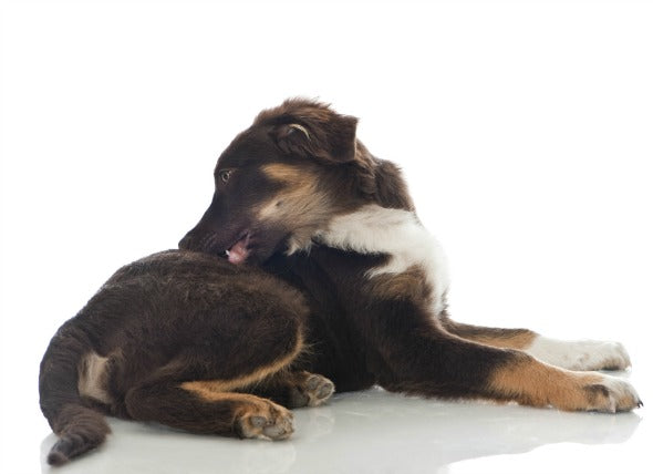 How to Treat Hot Spots