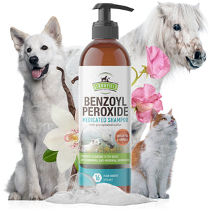Benzoyl Peroxide Shampoo for Dogs Cats + Sulfur - 16 oz - Medicated Dog Shampoo for Smelly Dogs, Anti Itch Dry Skin Allergy Treatment, Folliculitis, Seborrhea, Dermatitis, Dandruff, Infection, Mange