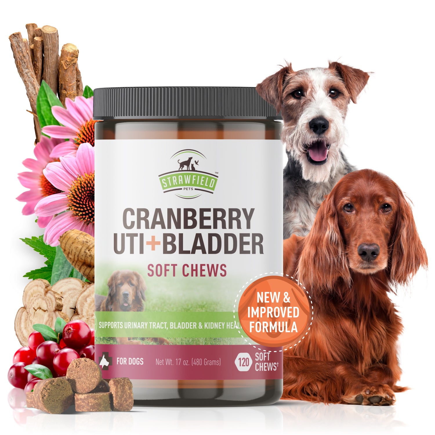 Dog Bladder Control Pills Dog Cranberry Supplement Natural Dog