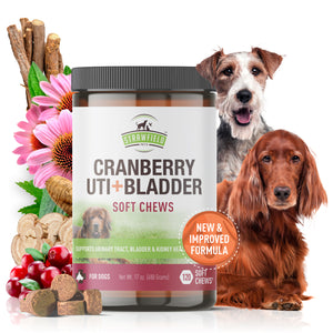 Cranberry Supplement Dog Treats - 120 Gluten-Free Soft Chews for Dogs Urinary Tract Health, UTI, Bladder Infection Kidney Support