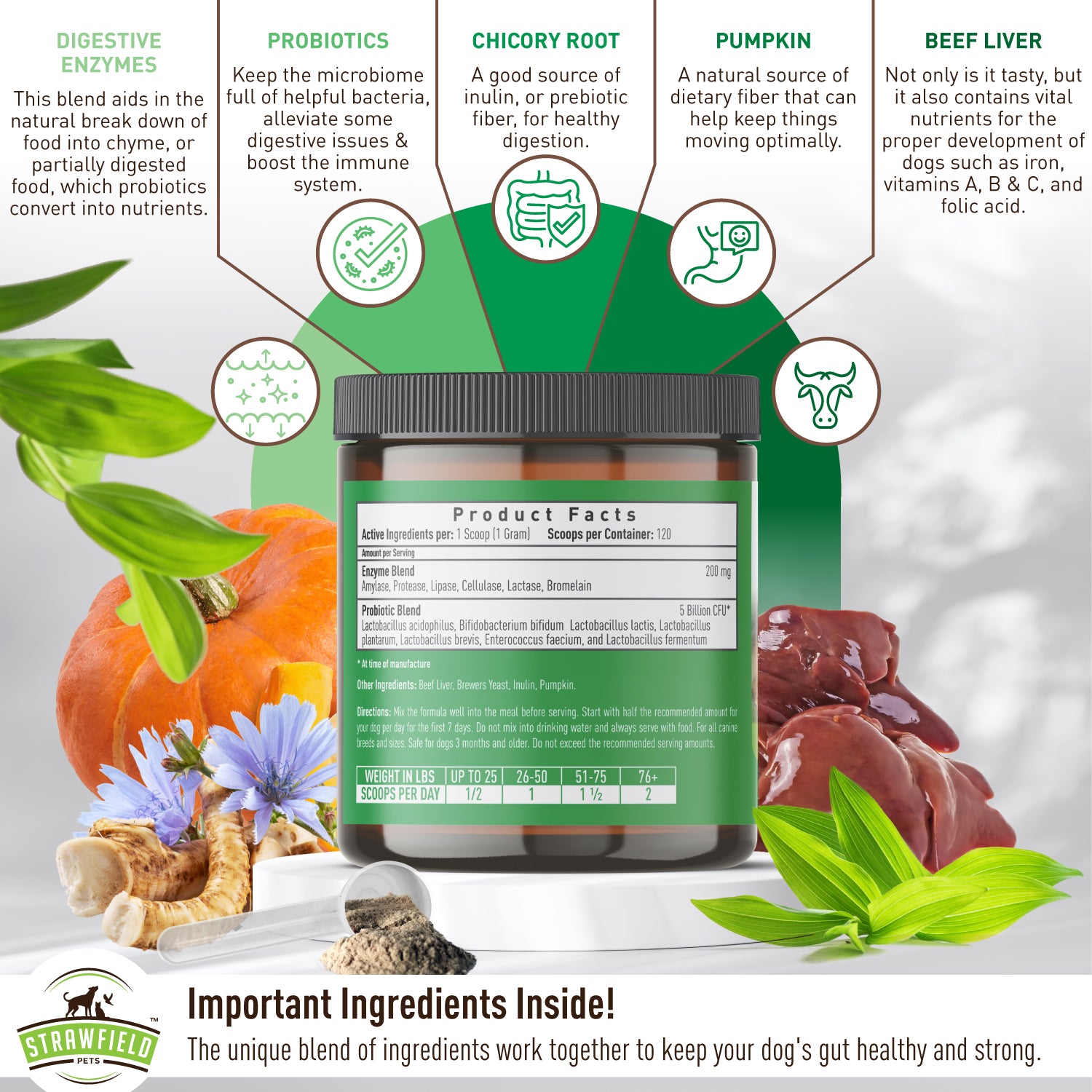 Digestive Support for Cats Feline Comfort Plus, Advanced | Vitality Science Digestive Support for Cats Feline Comfort Plus, Advanced | Vitality Science