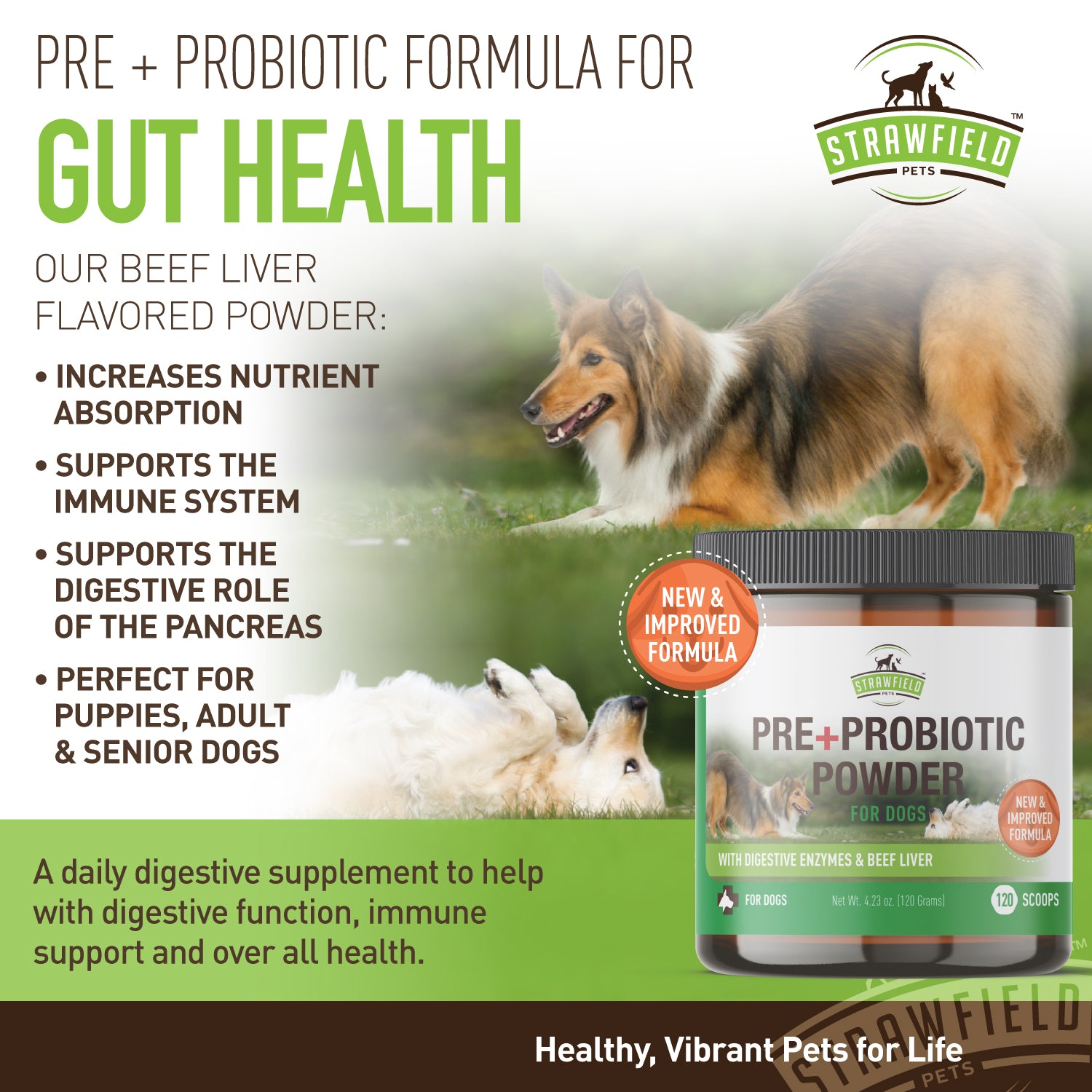 Pre + Probiotic Powder for Dogs - 5 Billion CFUs per scoop - Blended w ...