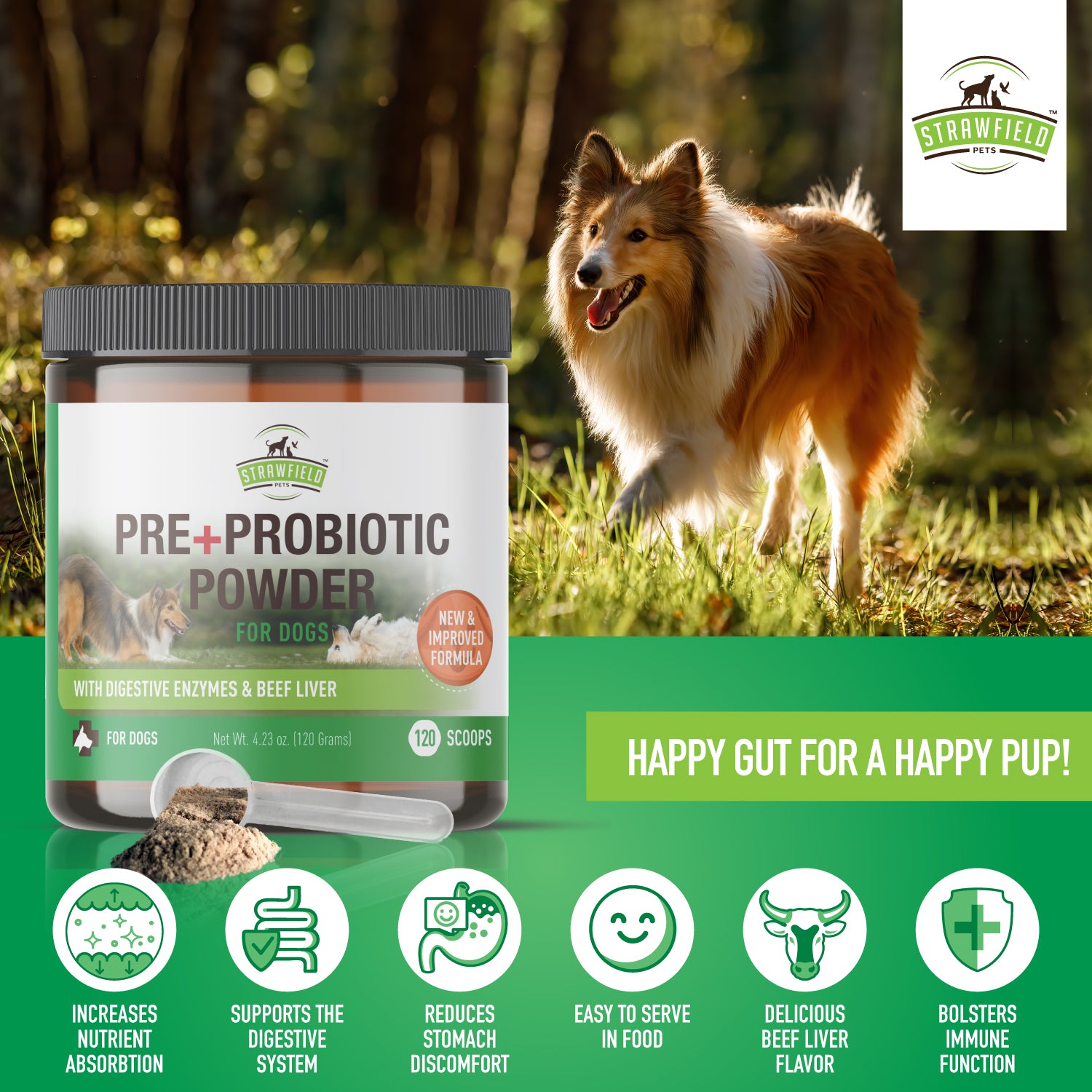 Pre + Probiotic Powder for Dogs - 5 Billion CFUs per scoop - Blended w ...
