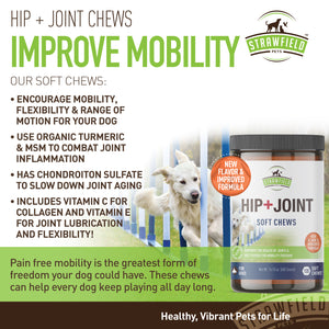Hip + Joint Chews with Glucosamine Chondroitin, MSM, Organic Turmeric Soft Chews, 120-Count