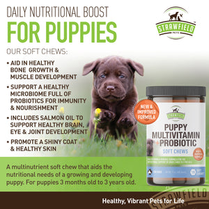 Puppy Multivitamins - 120 Grain-Free Multi Vitamin Soft Chews - Puppy Vitamins and Supplements + Glucosamine Chondroitin MSM Hip and Joint Supplement, Salmon Oil Omega 3, Probiotics for Dogs