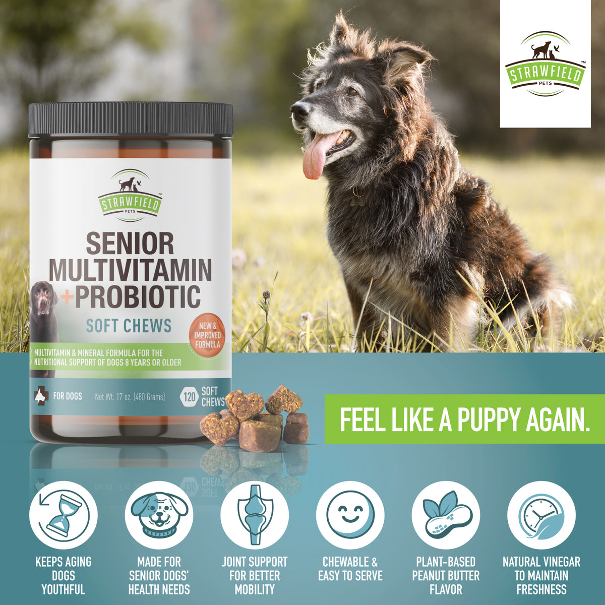 Senior Multivitamins 120 GrainFree Softchews Flavor Options