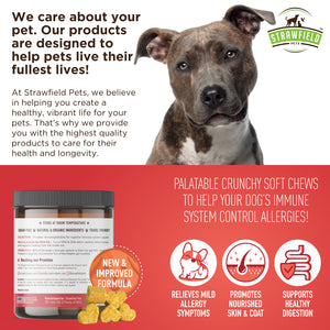 Super Allergy Relief Chews for Dogs - 90 count