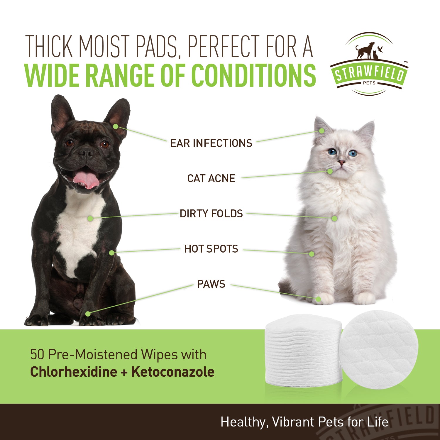 Benzoyl peroxide outlet wipes for cats